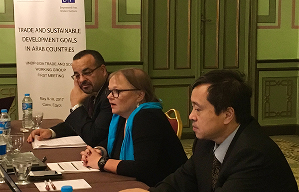 Trade and Sustainable Development Goals in Arab Countries  UNDP-SIDA Trade and SDGs Working Group – First Meeting
