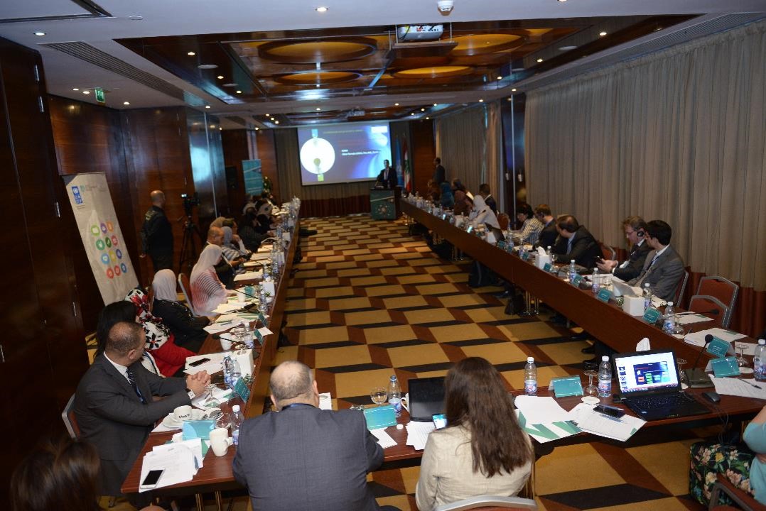 Developing National Platforms in the Arab Region for SDG Monitoring and Reporting