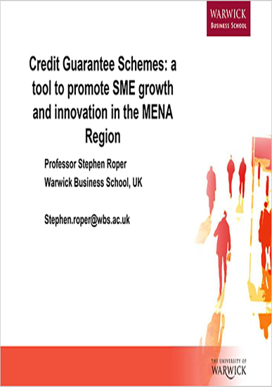 Credit Guarantee Schemes: A Tool to Promote SME Growth and Innovation in the MENA Region – Report and Guidelines